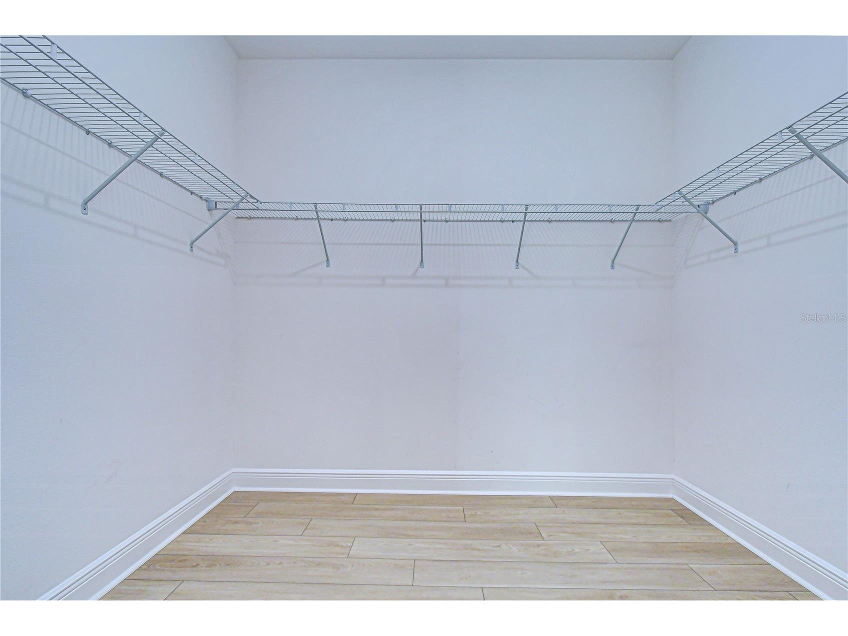 10027 Dolphin Gull Circle Thonotosassa FL 33592 TB8473091 image43