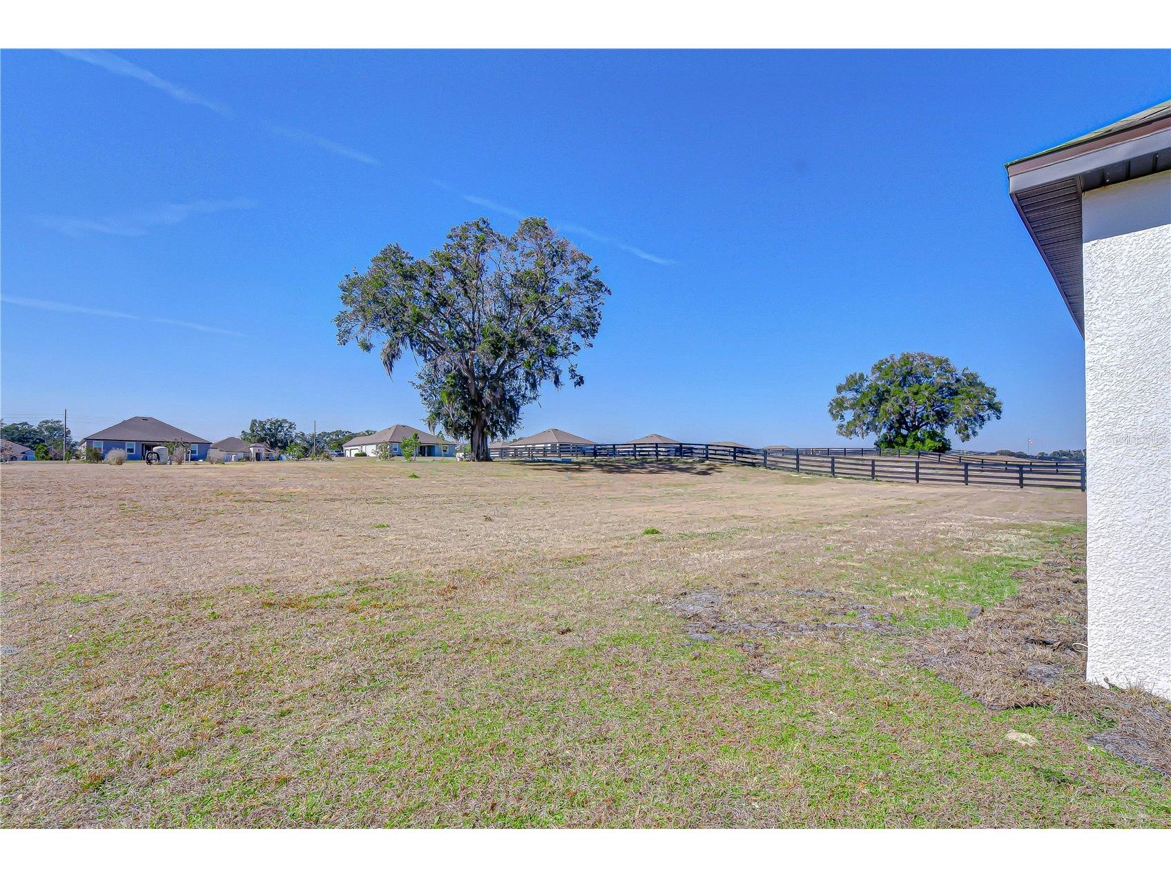 10027 Dolphin Gull Circle Thonotosassa FL 33592 TB8473091 image44