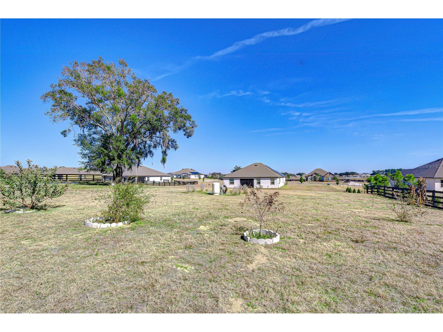 10027 Dolphin Gull Circle Thonotosassa FL 33592 TB8473091 image47