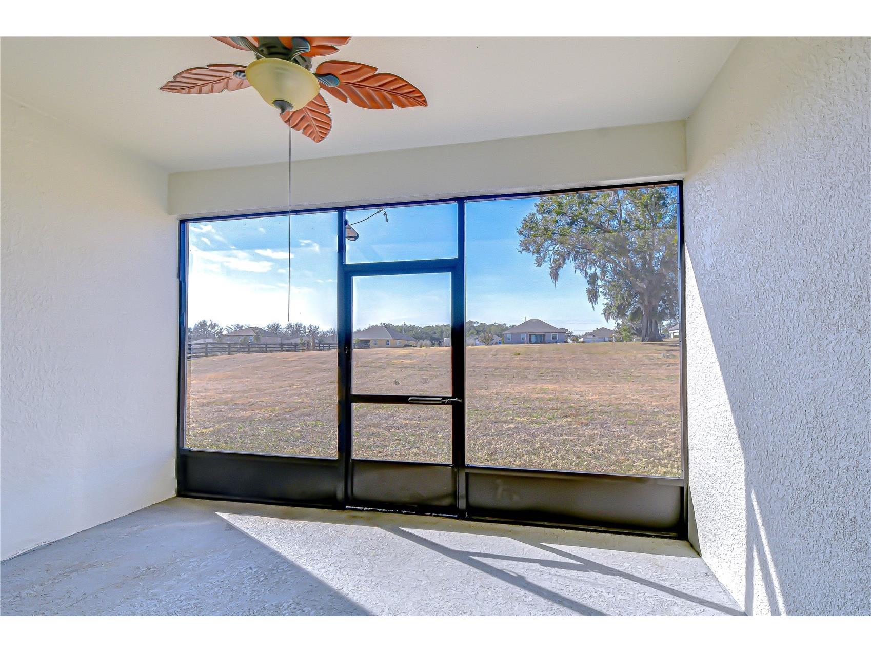 10027 Dolphin Gull Circle Thonotosassa FL 33592 TB8473091 image52