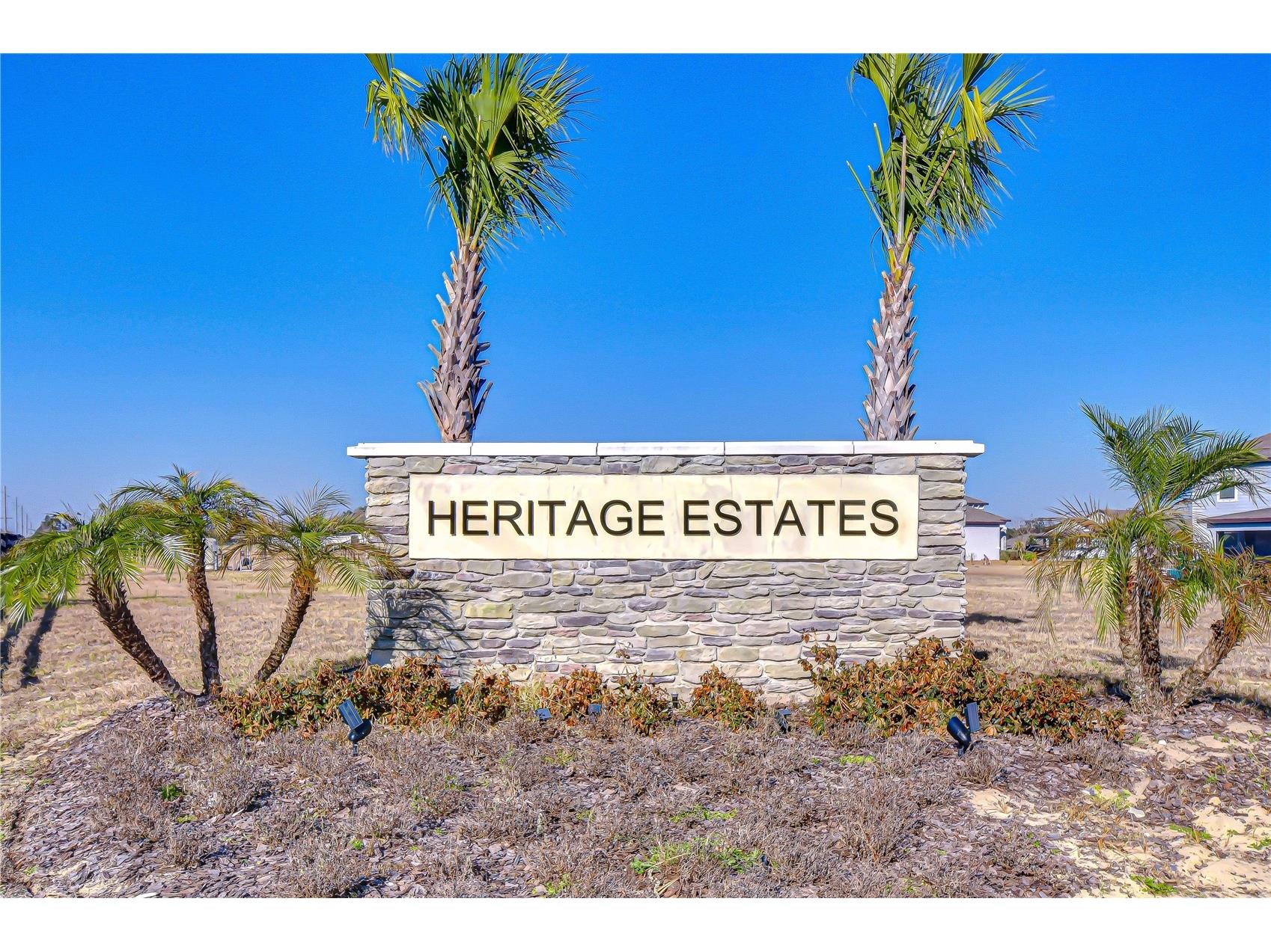 10027 Dolphin Gull Circle Thonotosassa FL 33592 TB8473091 image55