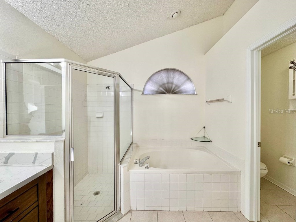 10028 Oasis Palm Drive Tampa FL 33615 TB8455807 image15