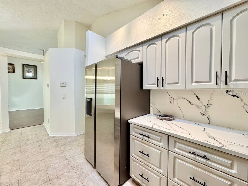 10028 Oasis Palm Drive Tampa FL 33615 TB8455807 image23