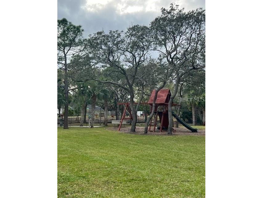 10028 Oasis Palm Drive Tampa FL 33615 TB8455807 image43