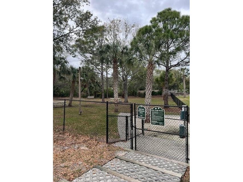 10028 Oasis Palm Drive Tampa FL 33615 TB8455807 image44