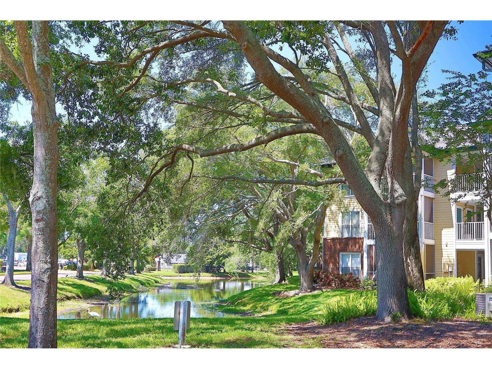 10028 Strafford Oak Court #712 Tampa FL 33624 TB8507792 image29