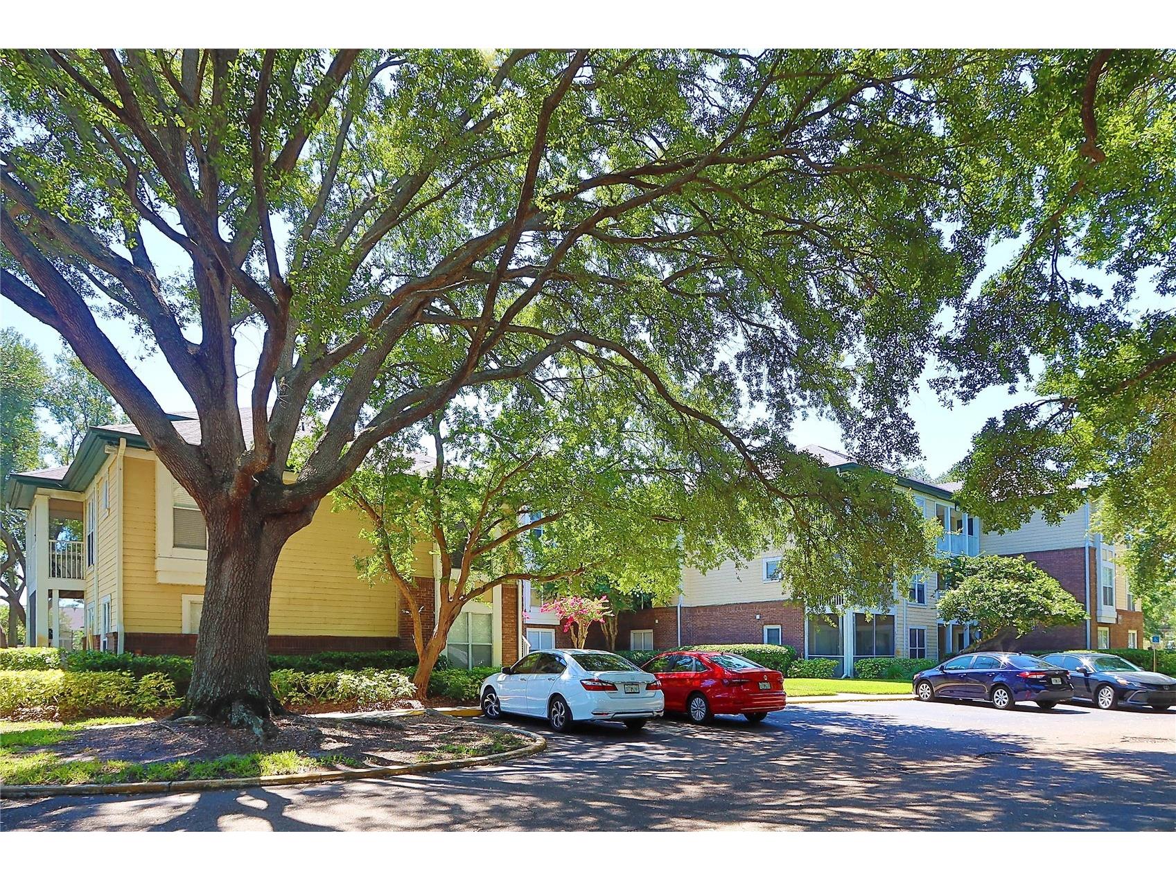 10028 Strafford Oak Court #712 Tampa FL 33624 TB8507792 image36