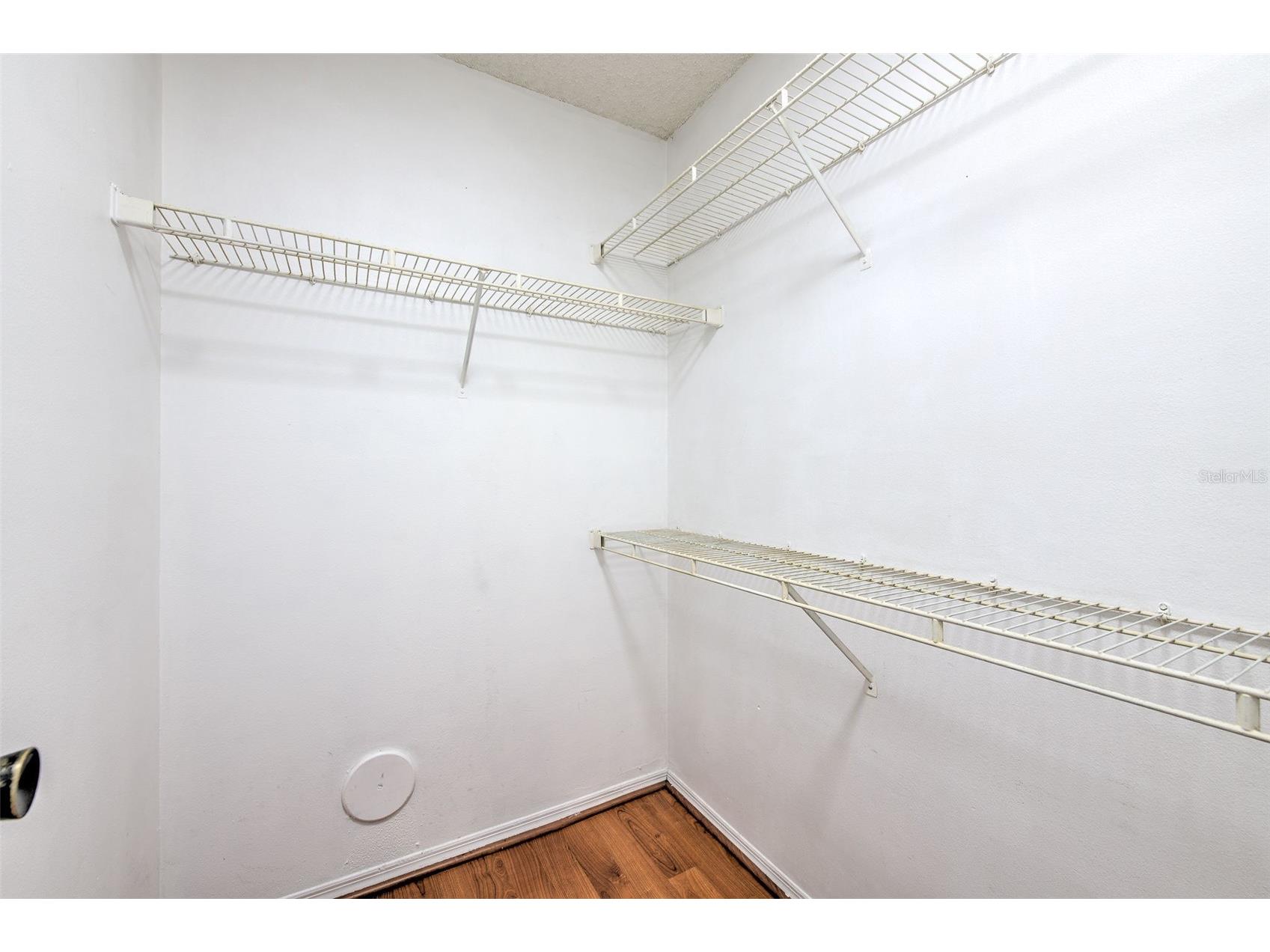 10028 Strafford Oak Court #716 Tampa FL 33624 TB8476982 image24