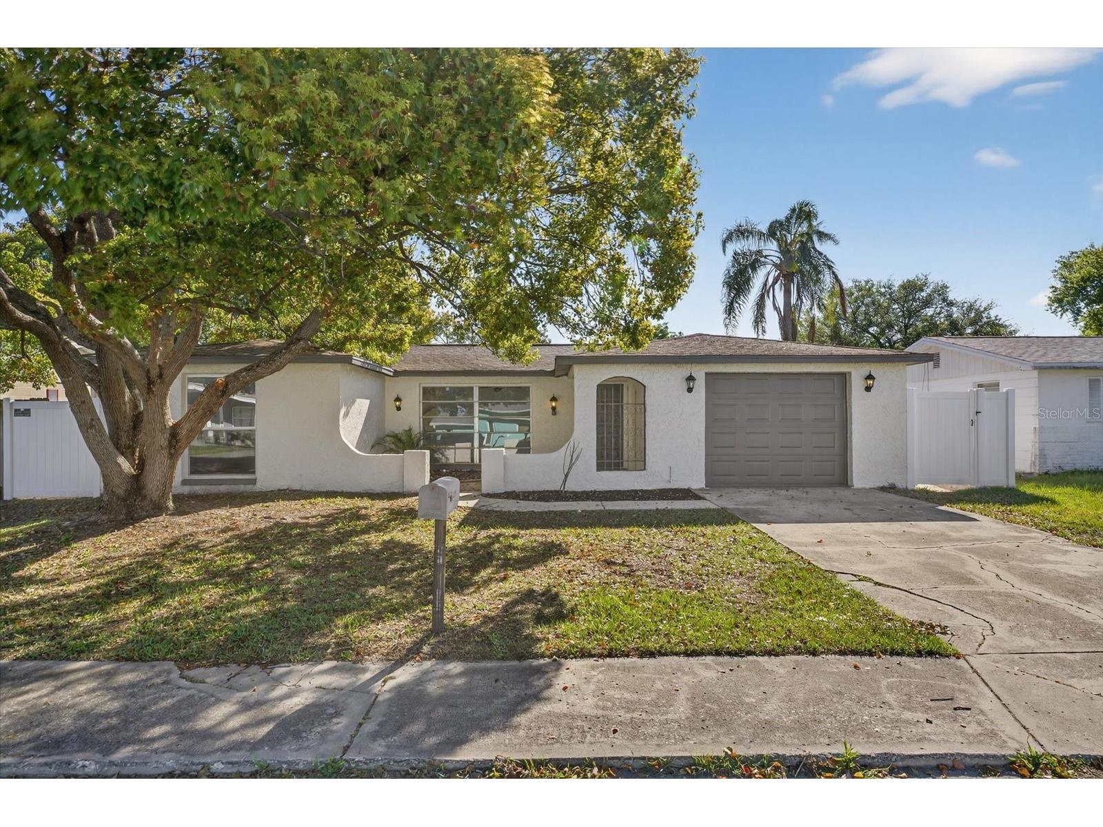 10028 Vineyard Lane Port Richey FL 34668 O6414673 image2
