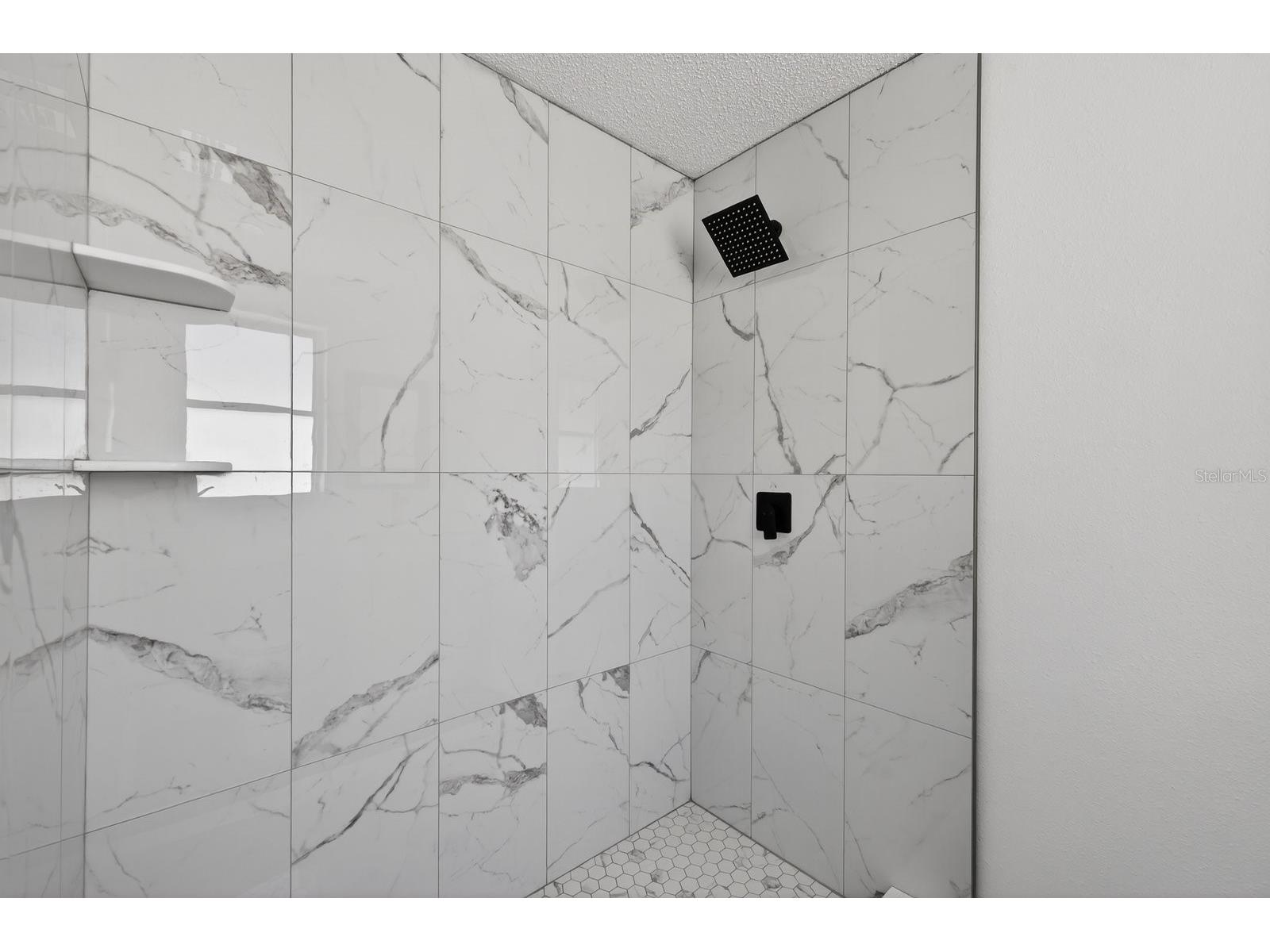 10028 Vineyard Lane Port Richey FL 34668 TB8489531 image21