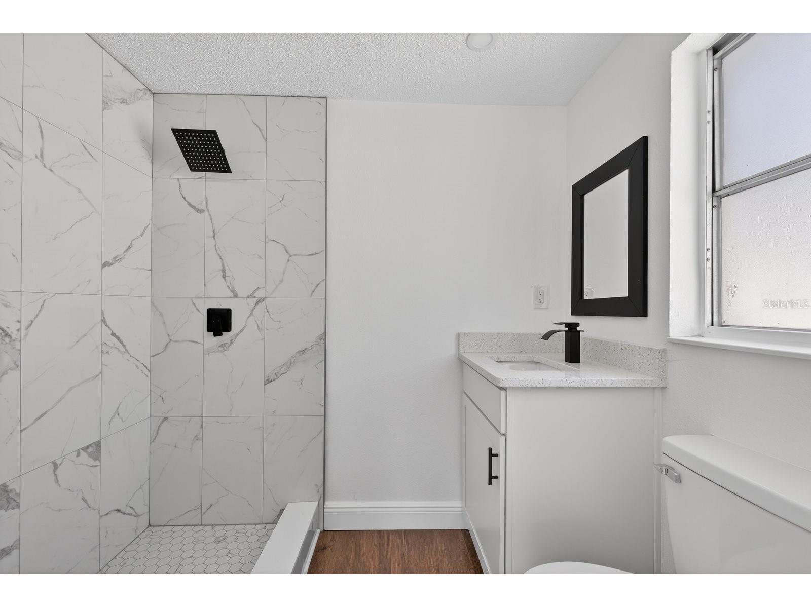 10028 Vineyard Lane Port Richey FL 34668 TB8489531 image28