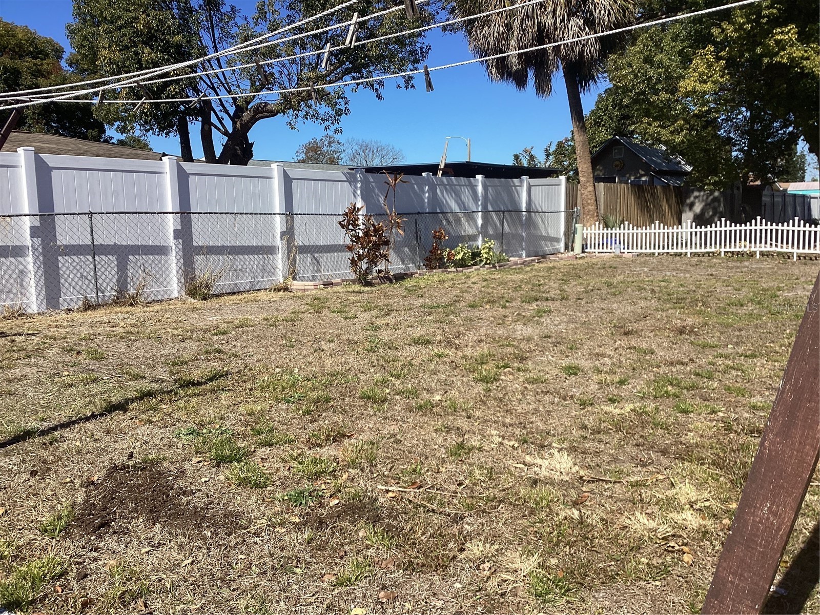 10029 Brandywine Avenue Port Richey FL 34668 W7882113 image11