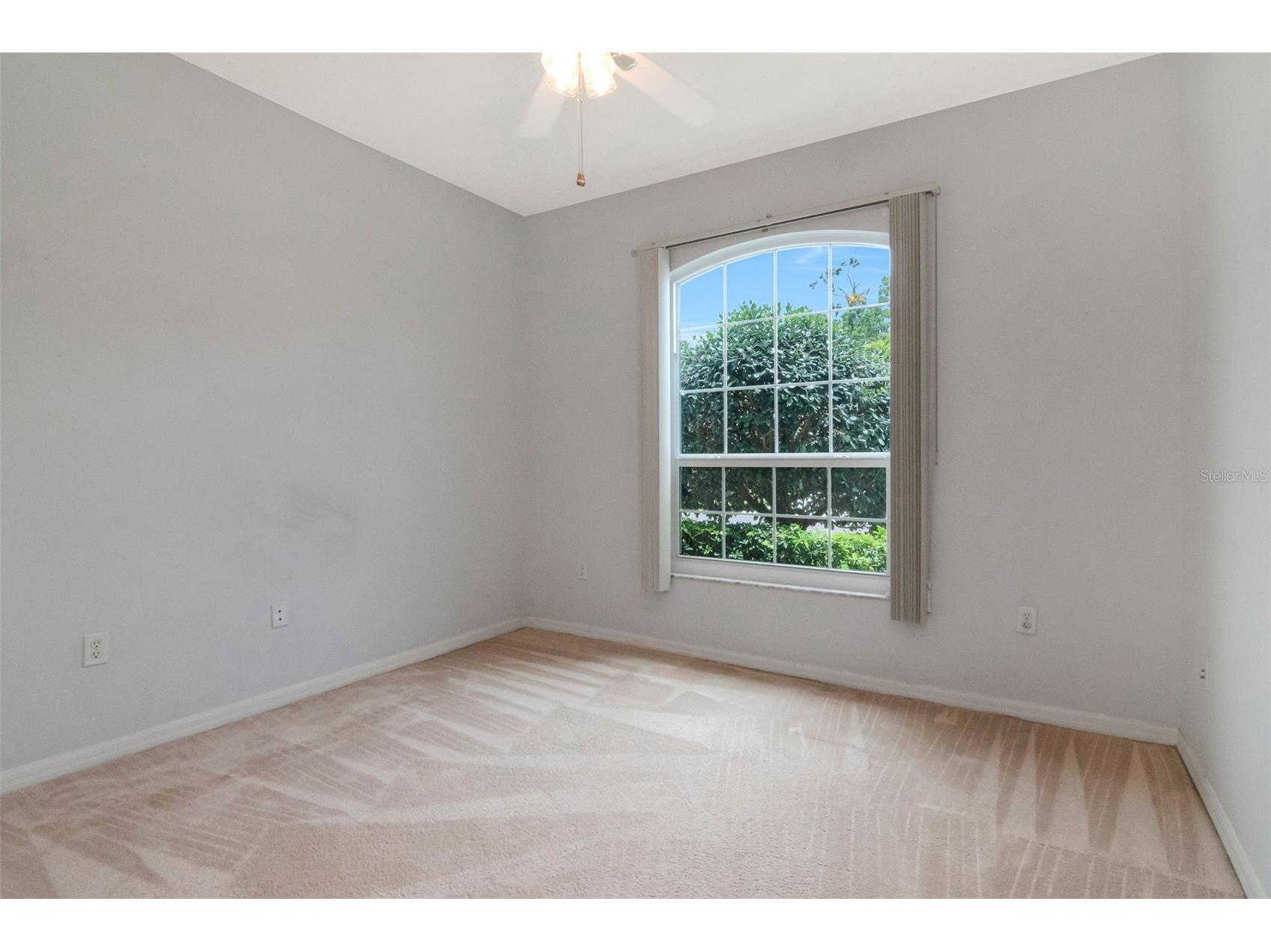 10029 Brookdale Drive New Port Richey FL 34655 W7887170 image25