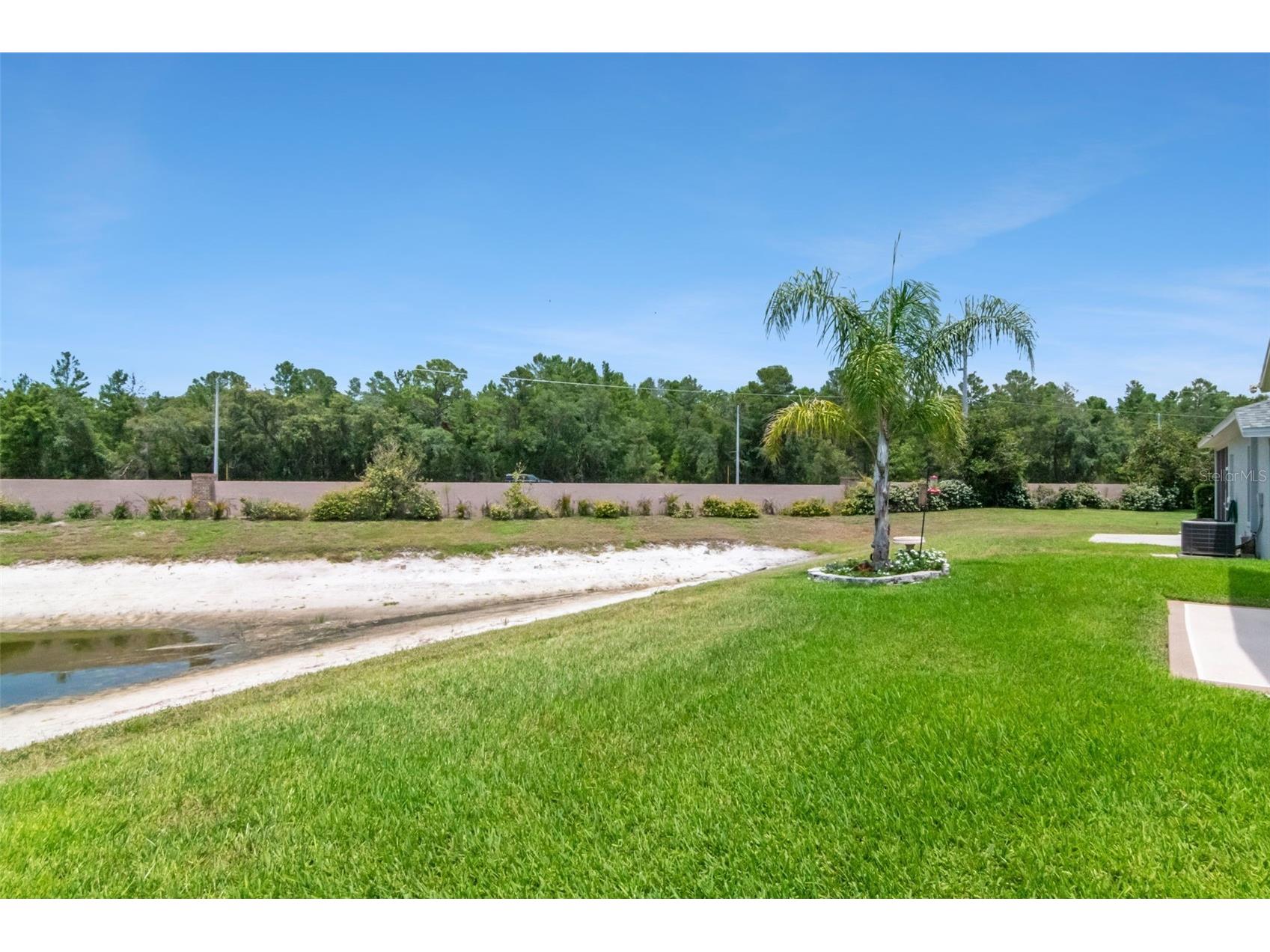 10029 Brookdale Drive New Port Richey FL 34655 W7887170 image32