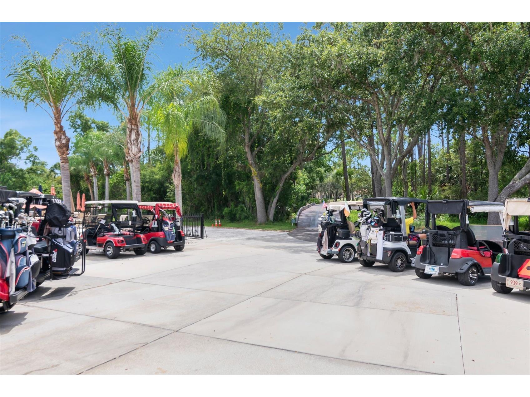 10029 Brookdale Drive New Port Richey FL 34655 W7887170 image38
