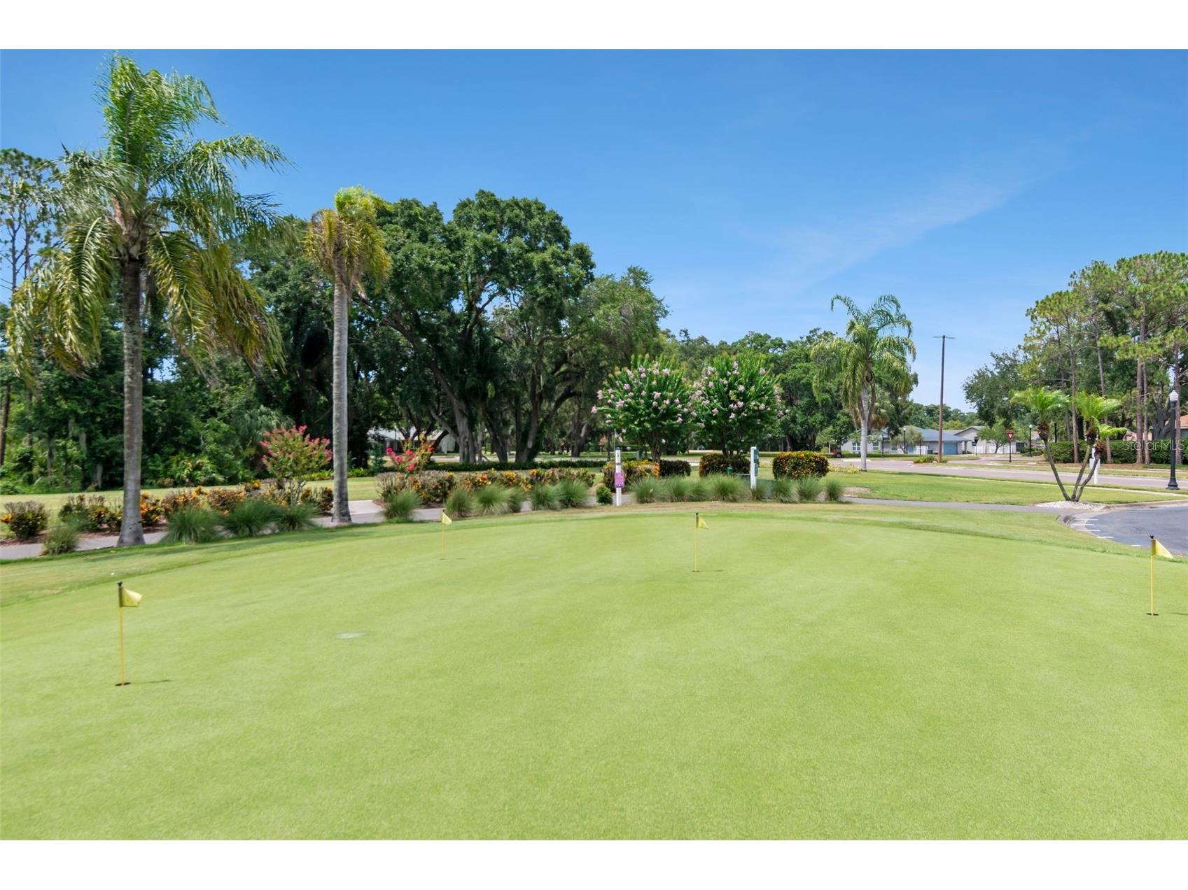 10029 Brookdale Drive New Port Richey FL 34655 W7887170 image39