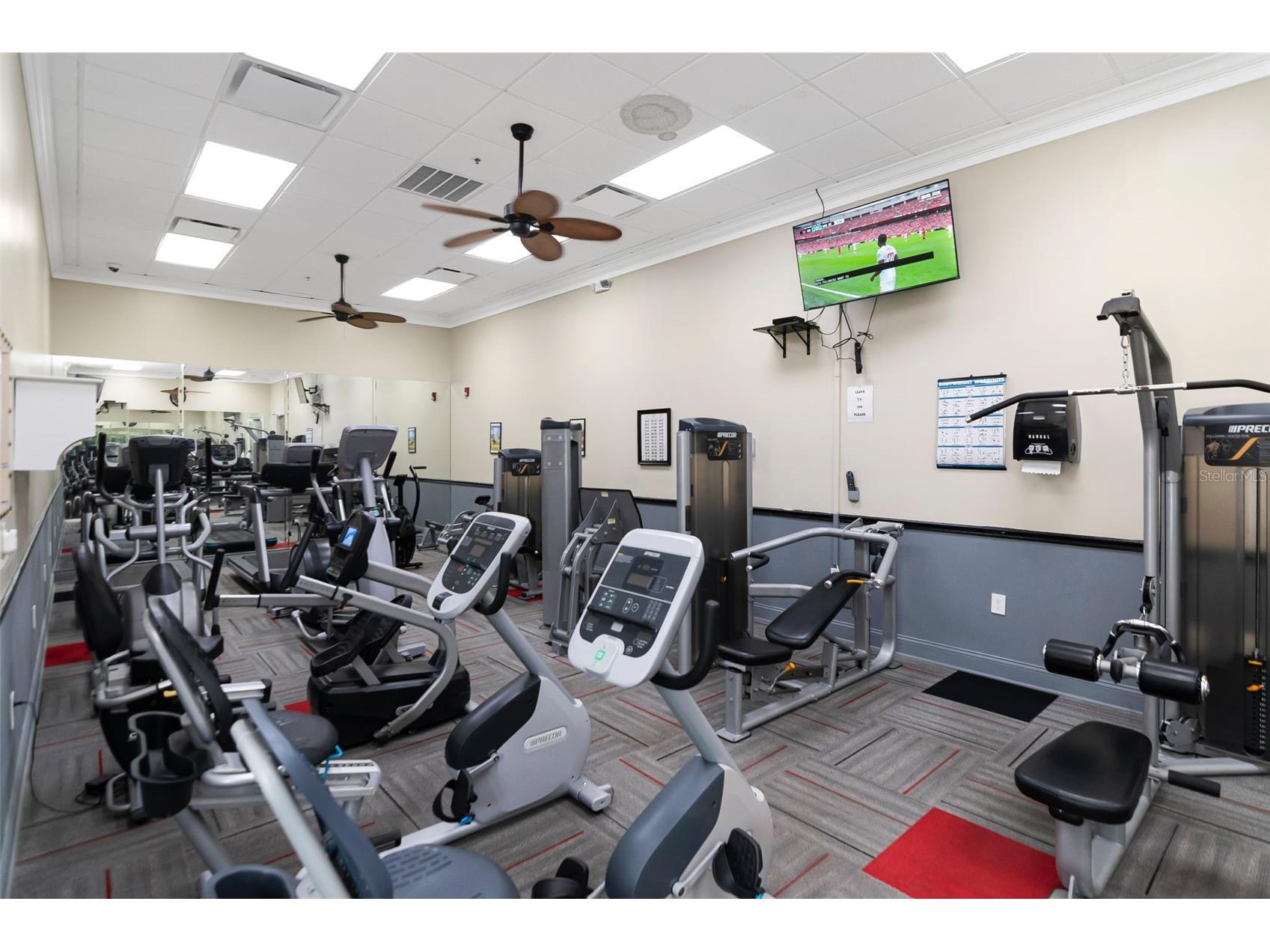 10029 Brookdale Drive New Port Richey FL 34655 W7887170 image44