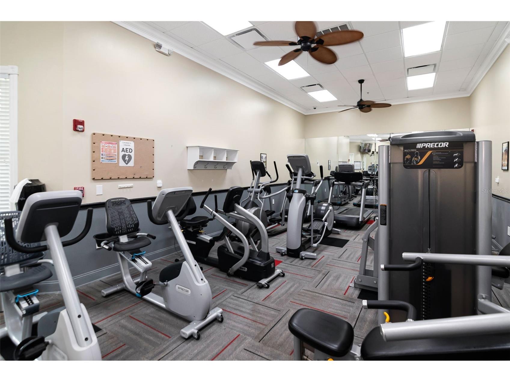 10029 Brookdale Drive New Port Richey FL 34655 W7887170 image45