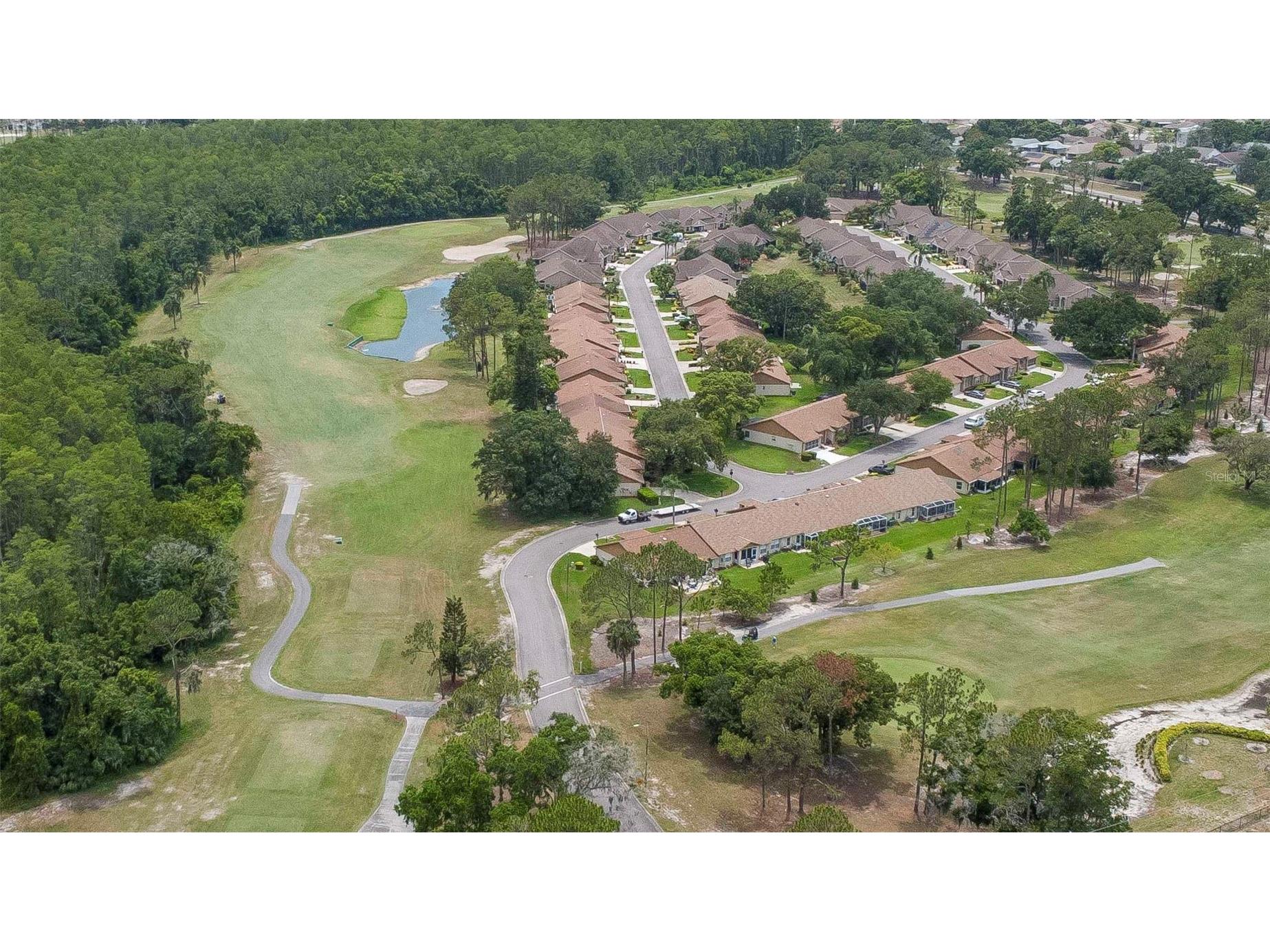 10029 Brookdale Drive New Port Richey FL 34655 W7887170 image51