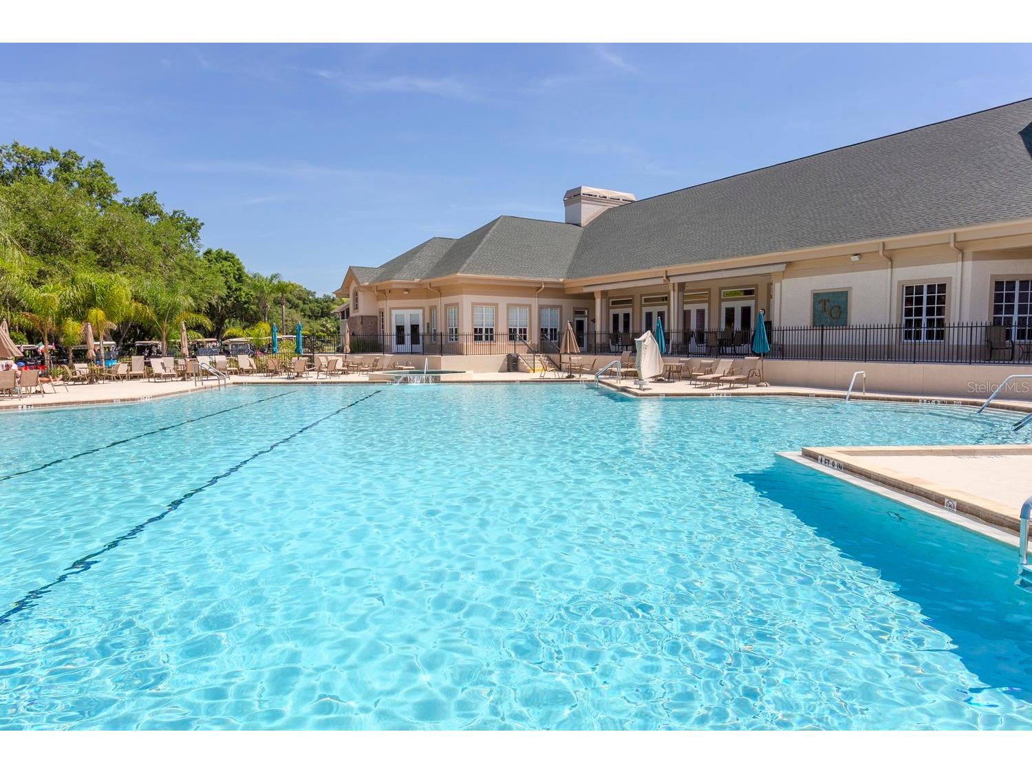 10029 Brookdale Drive New Port Richey FL 34655 W7887170 image59
