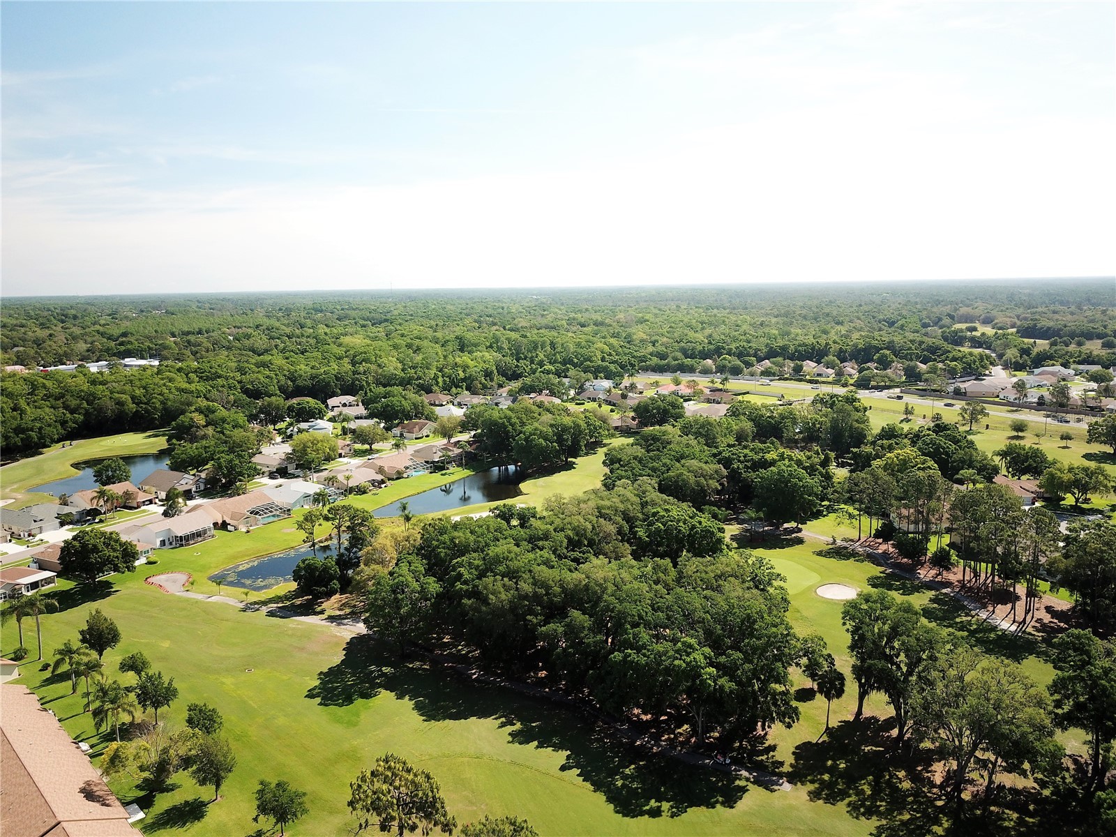 10029 Brookdale Drive New Port Richey FL 34655 W7887170 image60