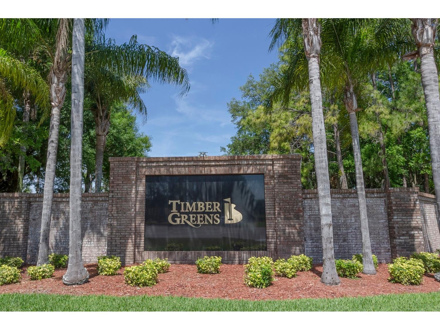 10029 Brookdale Drive New Port Richey FL 34655 W7887170 image62