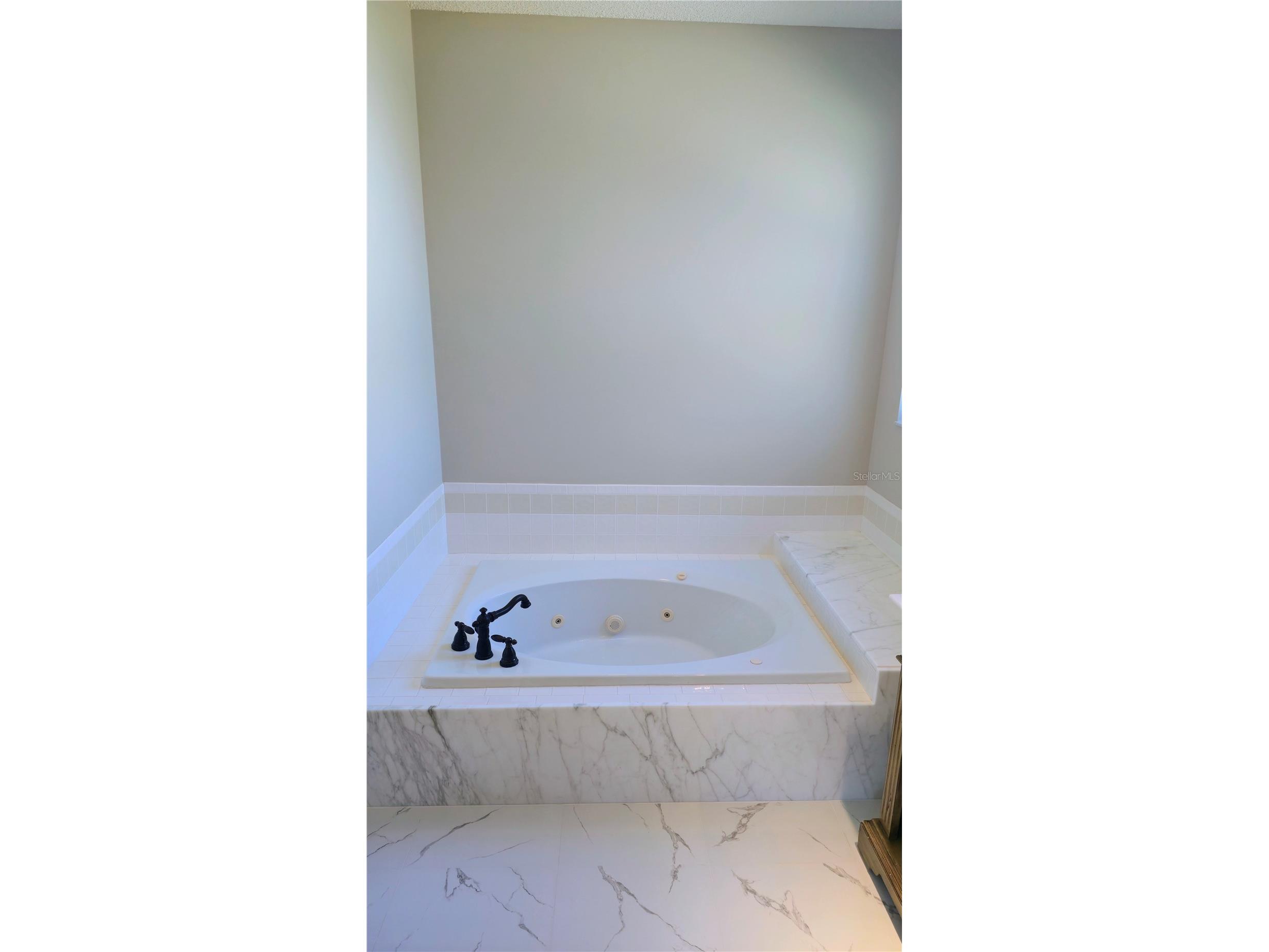 1003 Berkshire Lane Tarpon Springs FL 34688 TB8370121 image11