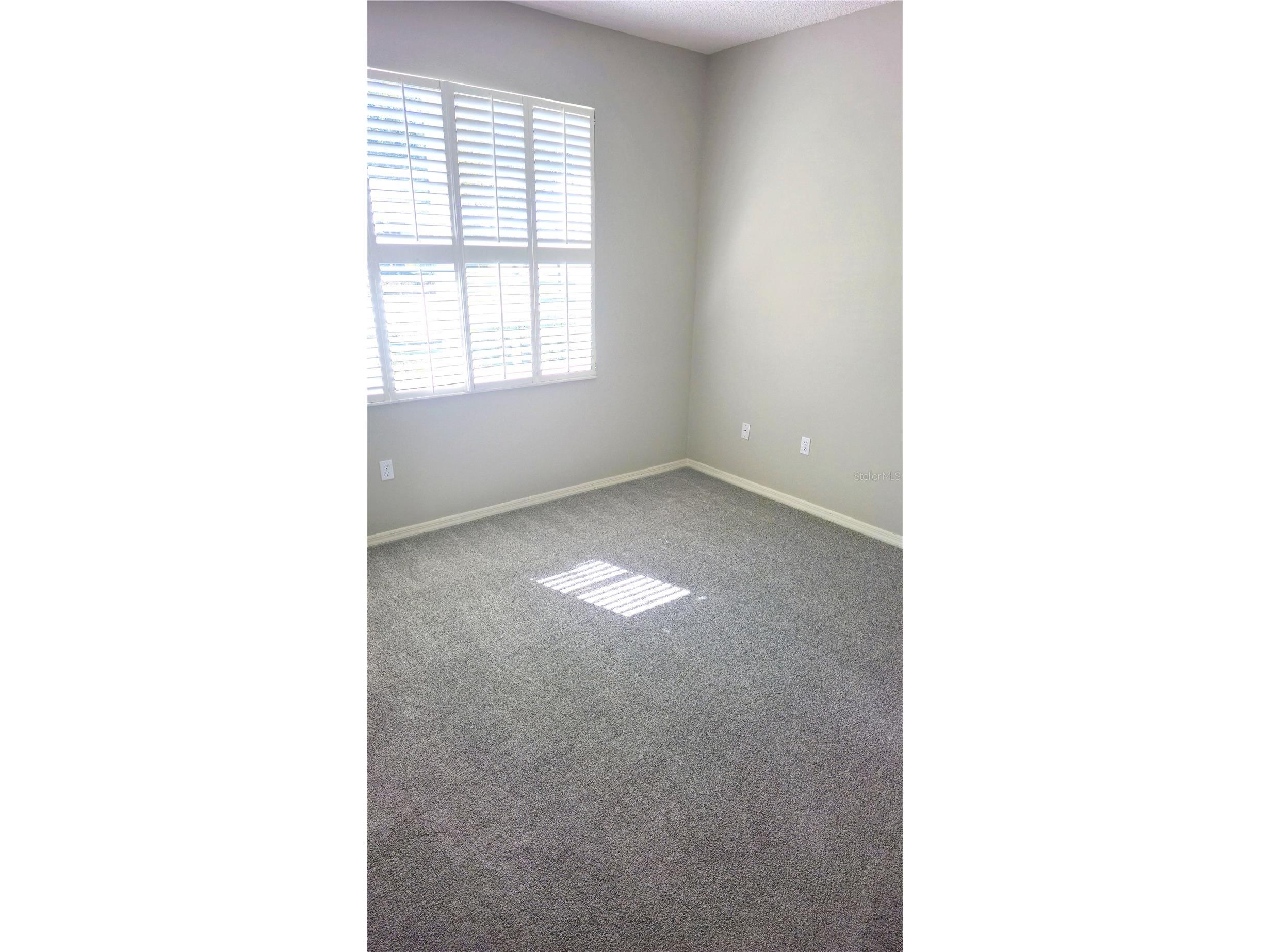 1003 Berkshire Lane Tarpon Springs FL 34688 TB8370121 image16