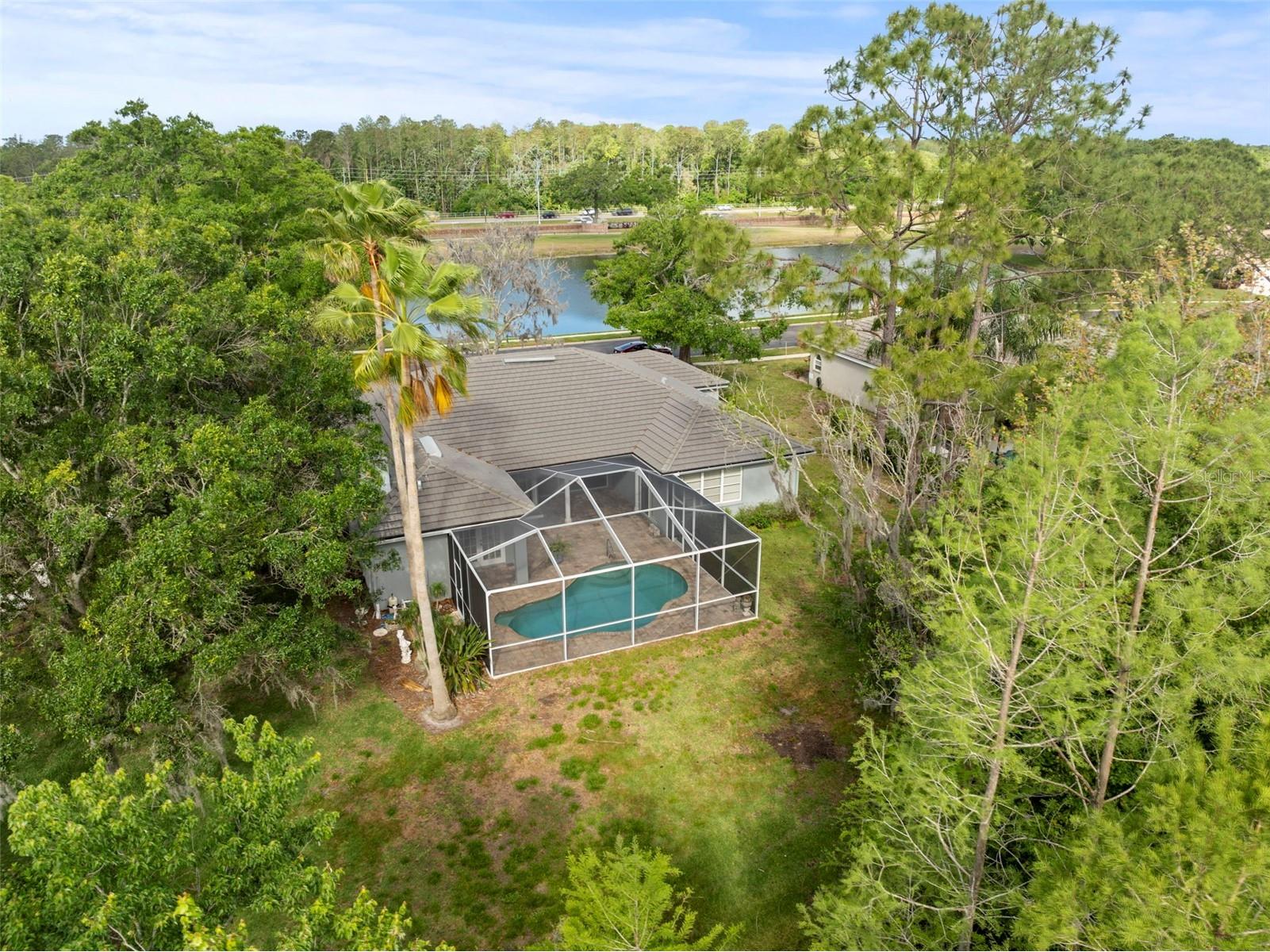 1003 Berkshire Lane Tarpon Springs FL 34688 TB8370121 image26