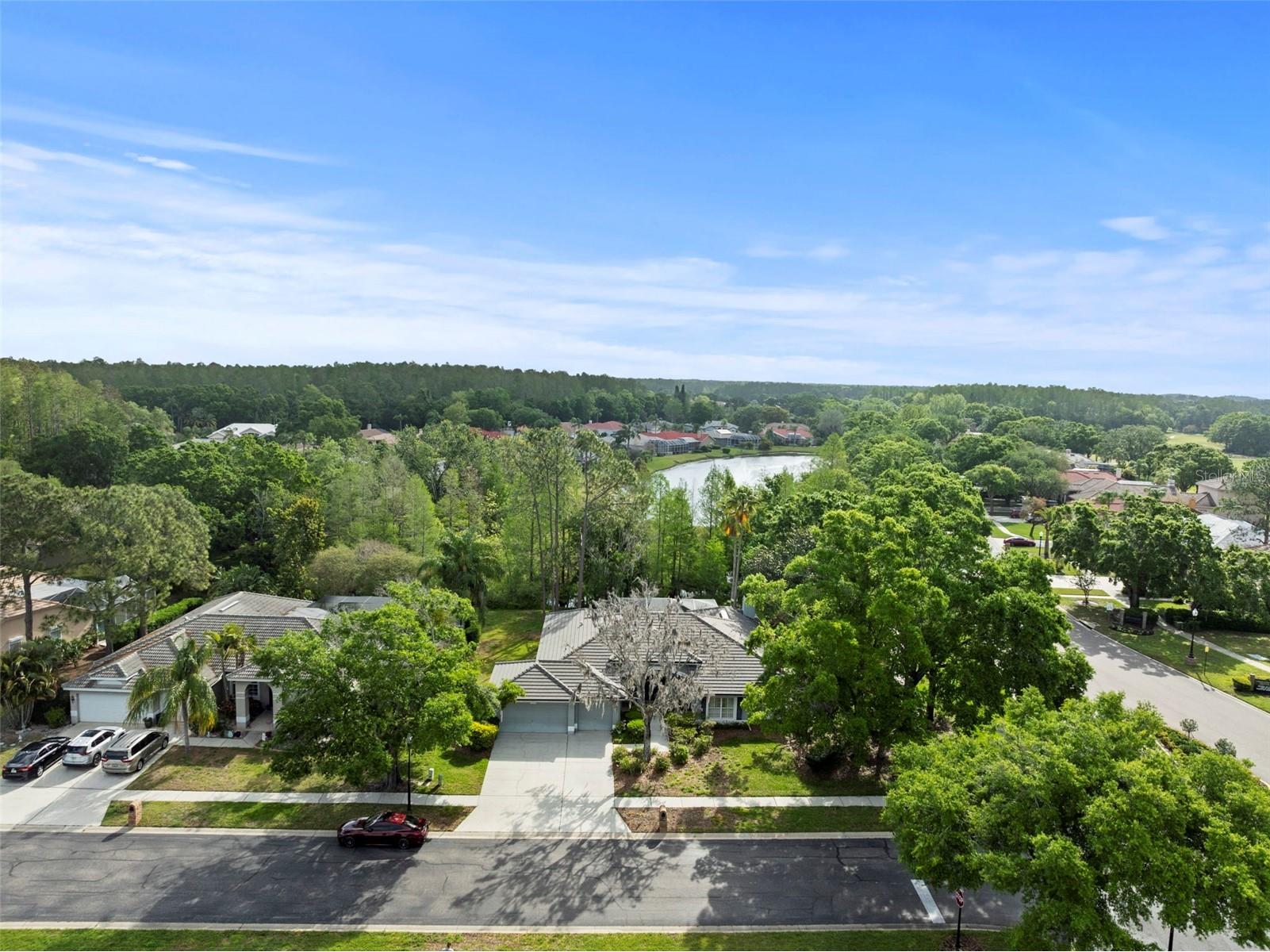 1003 Berkshire Lane Tarpon Springs FL 34688 TB8370121 image27