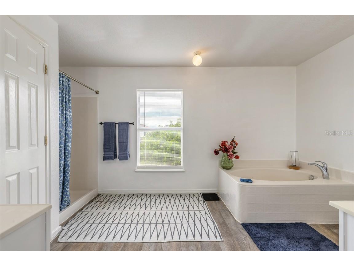 1003 Dampierre Court Kissimmee FL 34759 V4944967 image44