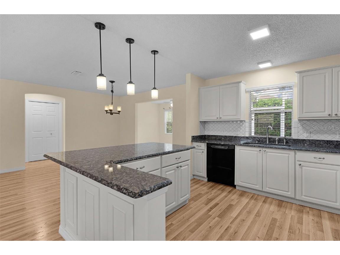 1003 Del Mar Drive Lady Lake FL 32159 G5101990 image13