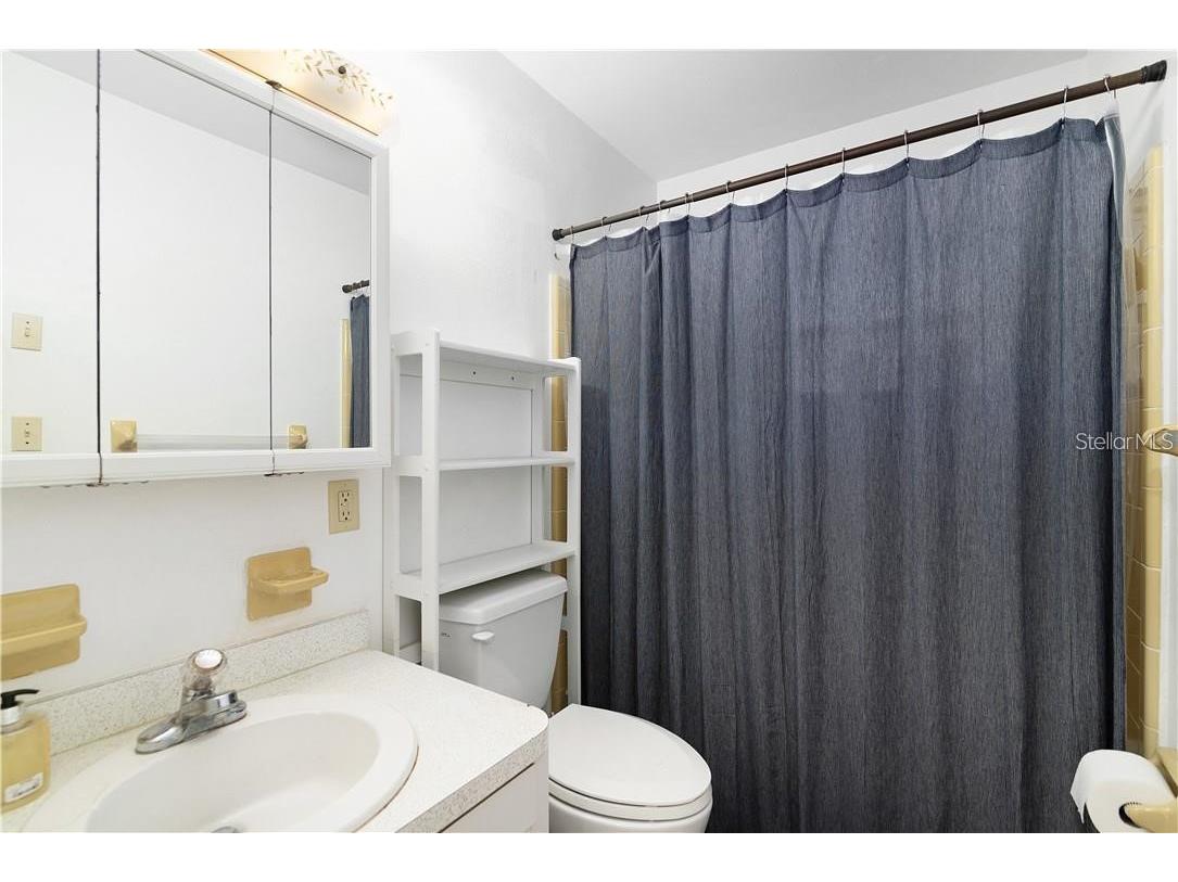 1003 Dora Avenue Tavares FL 32778 G5113261 image8