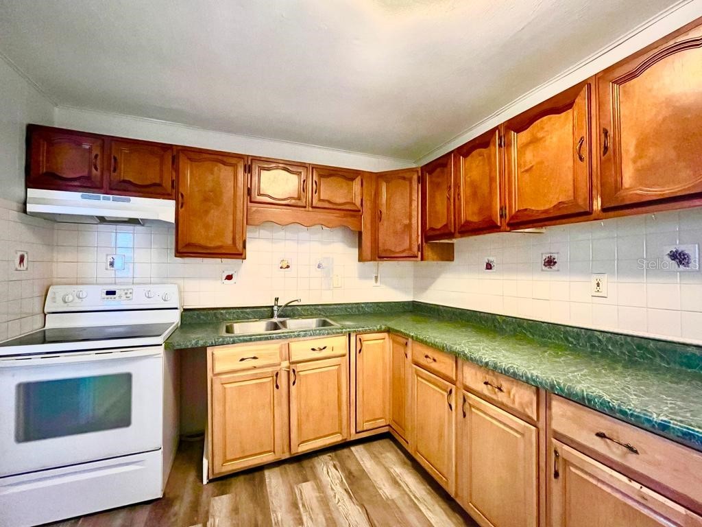 1003 E 22nd Avenue Tampa FL 33605 TB8503368 image6