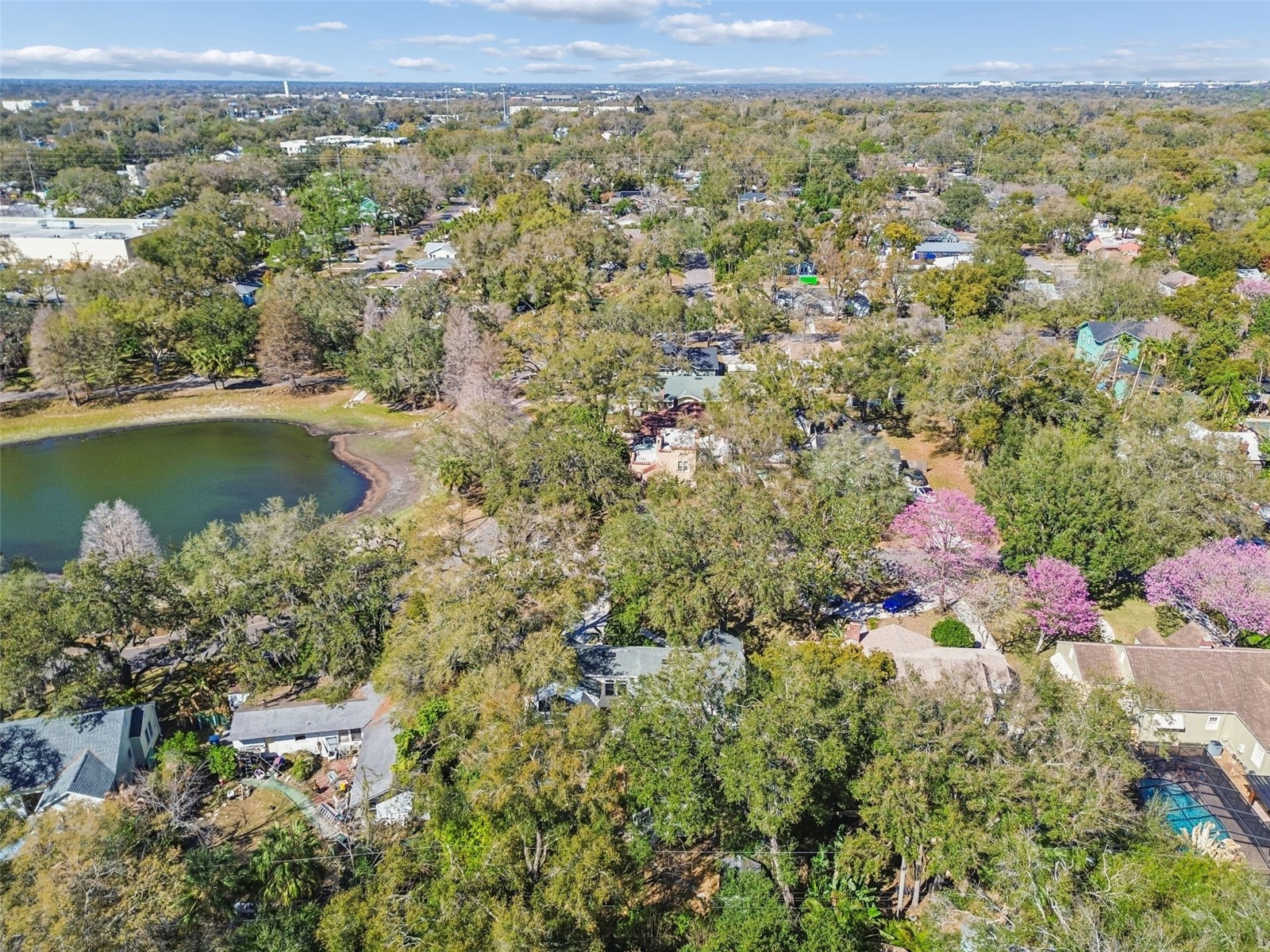 1003 E Clifton Street Tampa FL 33604 TB8480524 image37