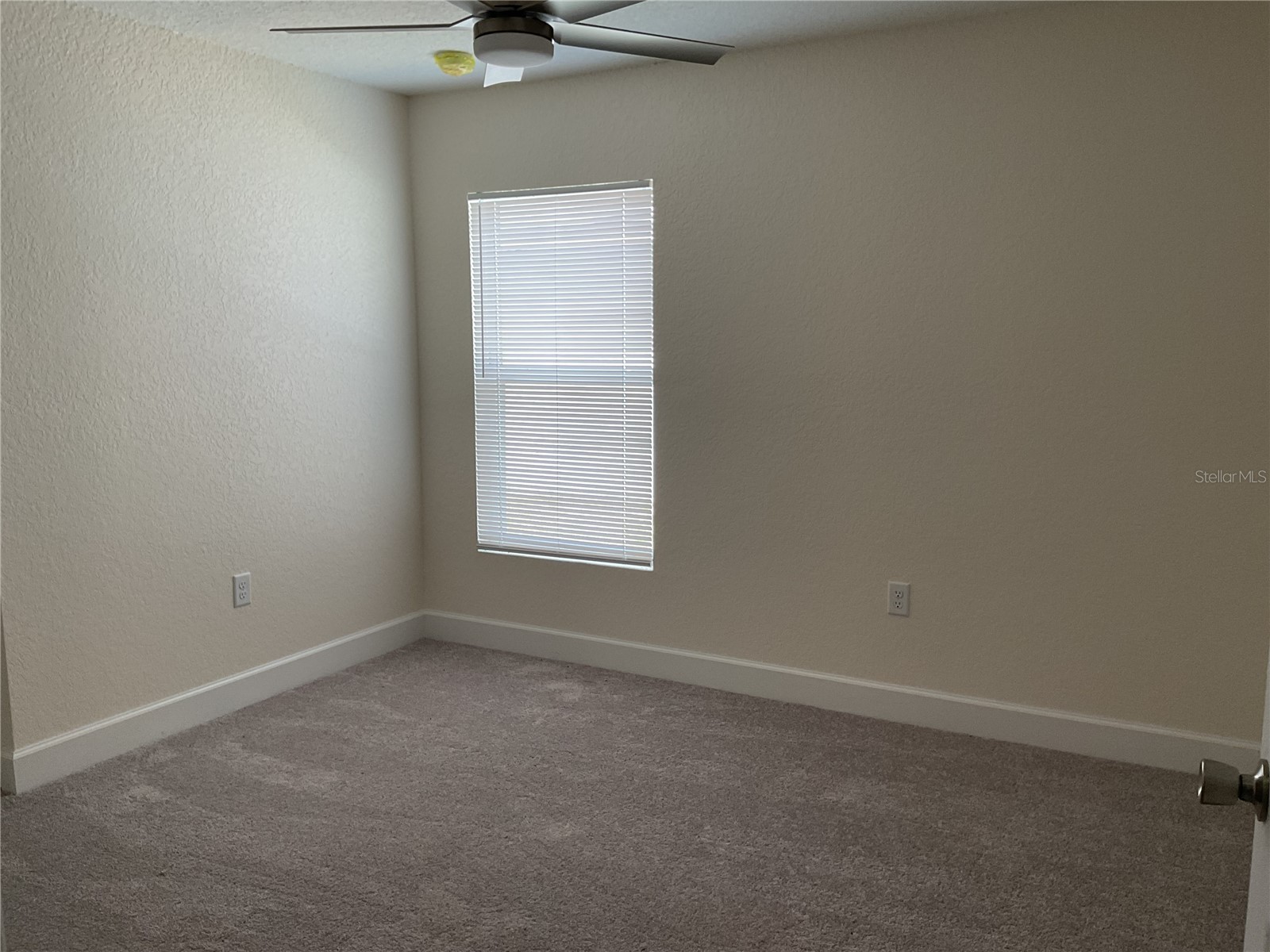 1003 E Renfro Street Plant City FL 33563 TB8507018 image14