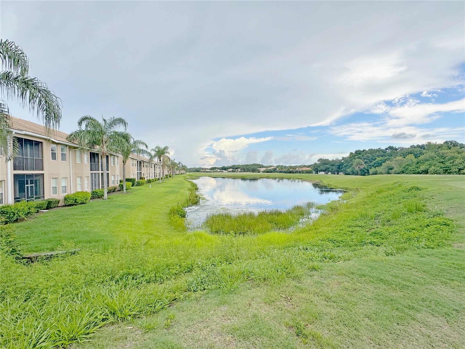 1003 Fairwaycove Lane #205 Bradenton FL 34212 A4687352 image21