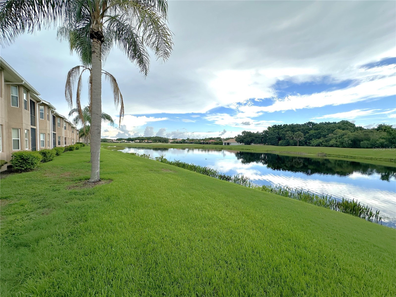 1003 Fairwaycove Lane #205 Bradenton FL 34212 A4687352 image22