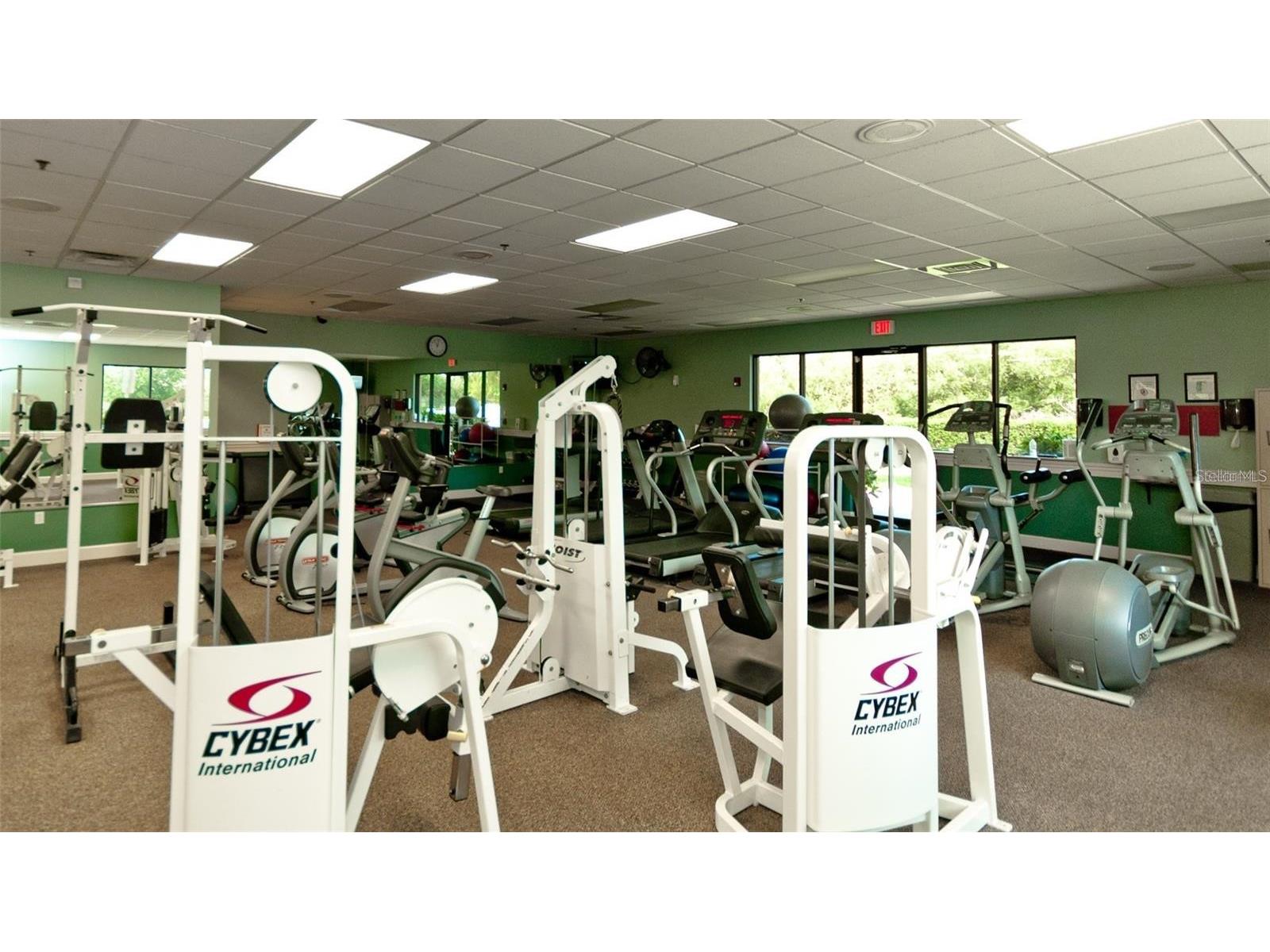 1003 Fairwaycove Lane #205 Bradenton FL 34212 A4687352 image35