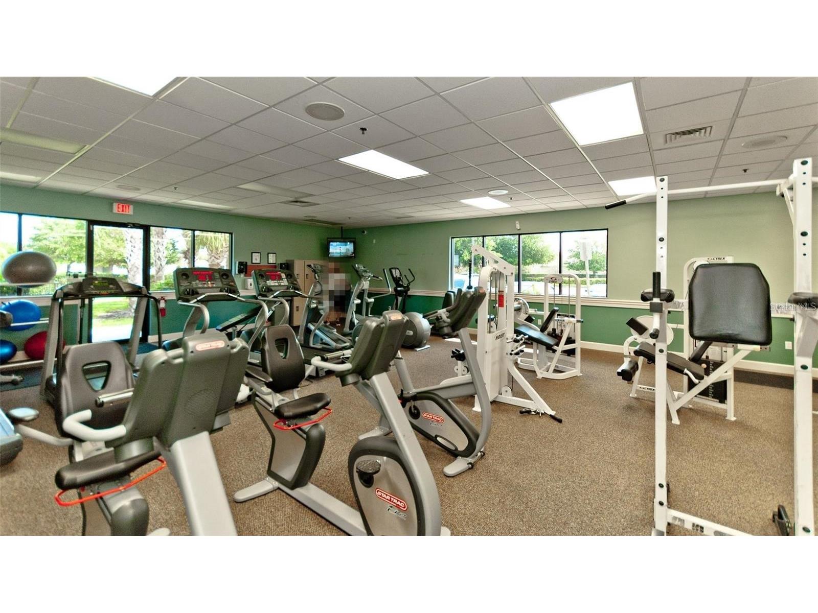 1003 Fairwaycove Lane #205 Bradenton FL 34212 A4687352 image36