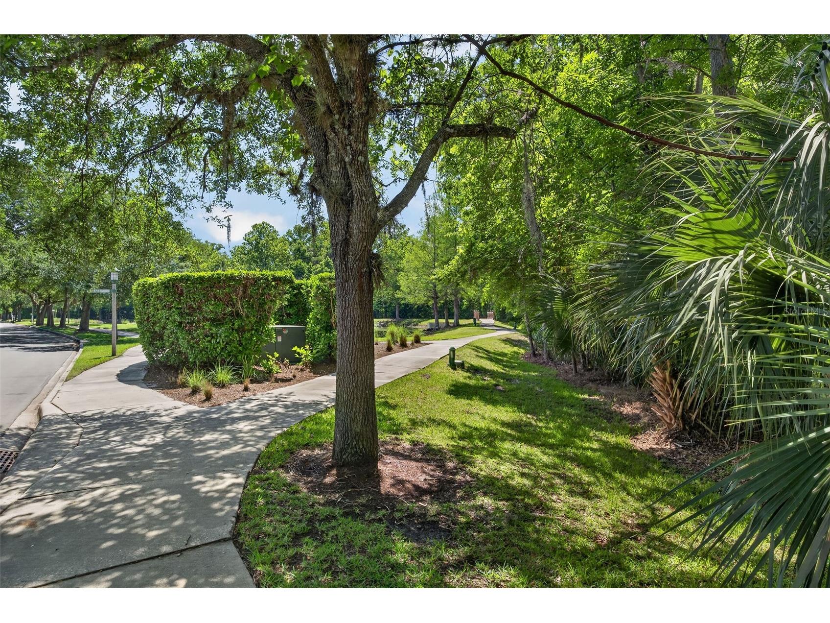 1003 Old Blush Road Celebration FL 34747 S5148714 image32