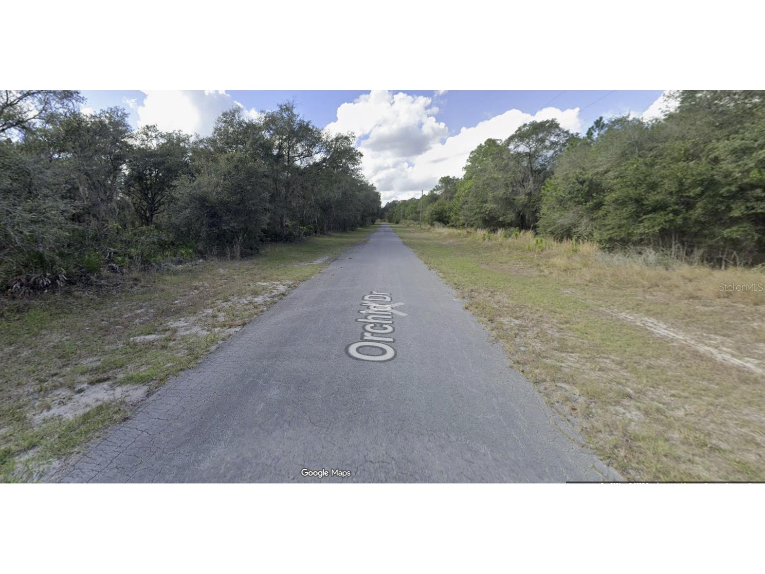 1003 Orchid Drive Indian Lake Estates FL 33855 - LAKE WALK-IN-WATER P4937312 image2