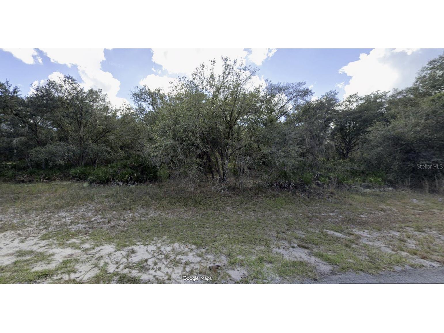 1003 Orchid Drive Indian Lake Estates FL 33855 - LAKE WALK-IN-WATER P4937312 image4