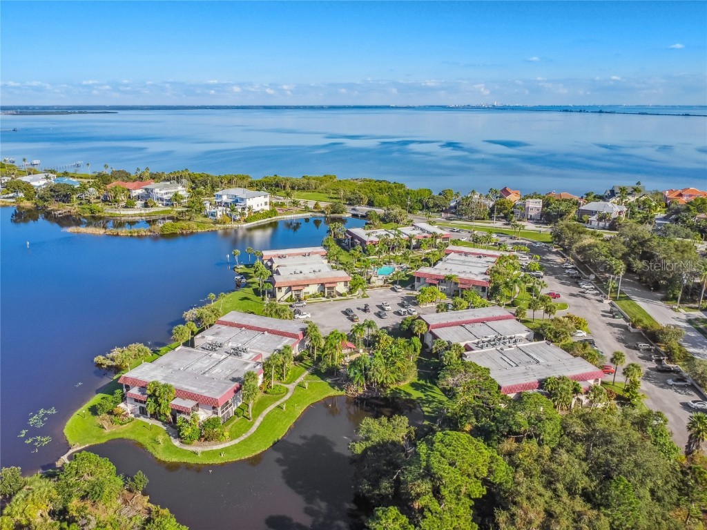 1003 S Bayshore Boulevard #103 Safety Harbor FL 34695 U8183737 image1