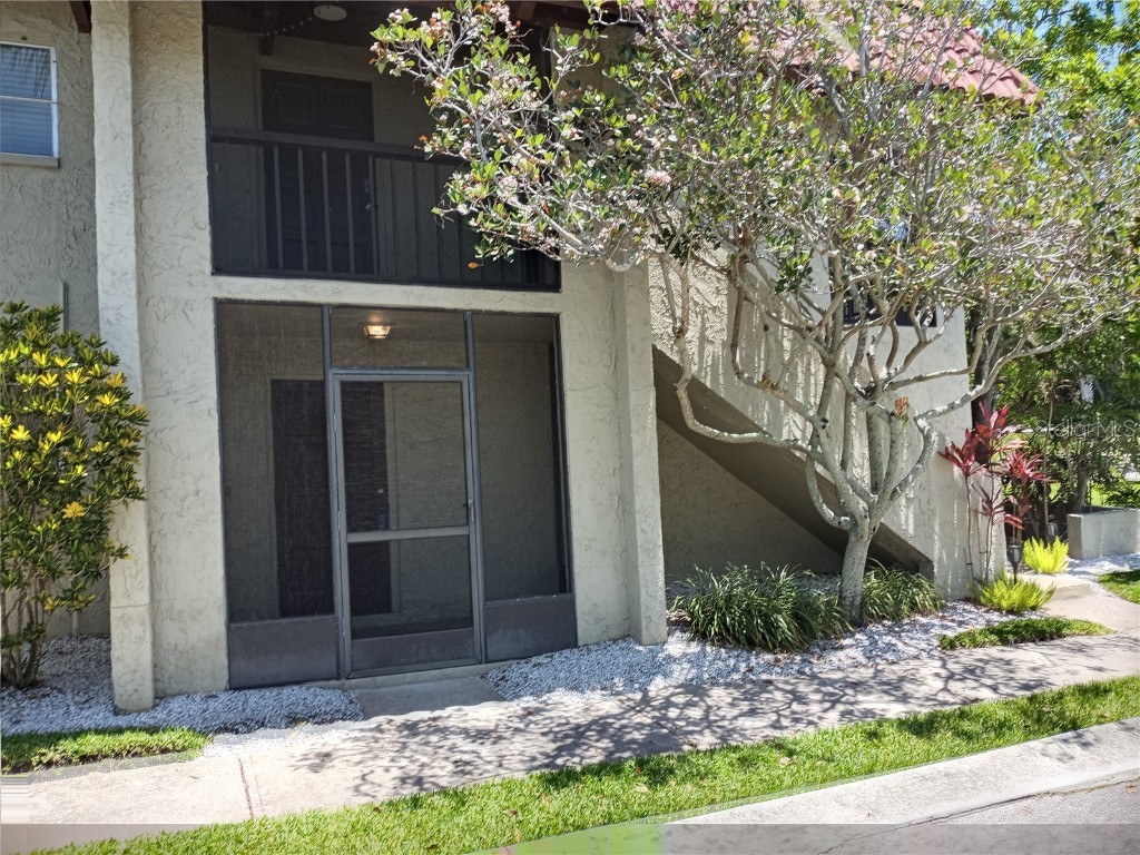 1003 S Bayshore Boulevard #107 Safety Harbor FL 34695 - ALLIGATOR LAKE U8196753 image1
