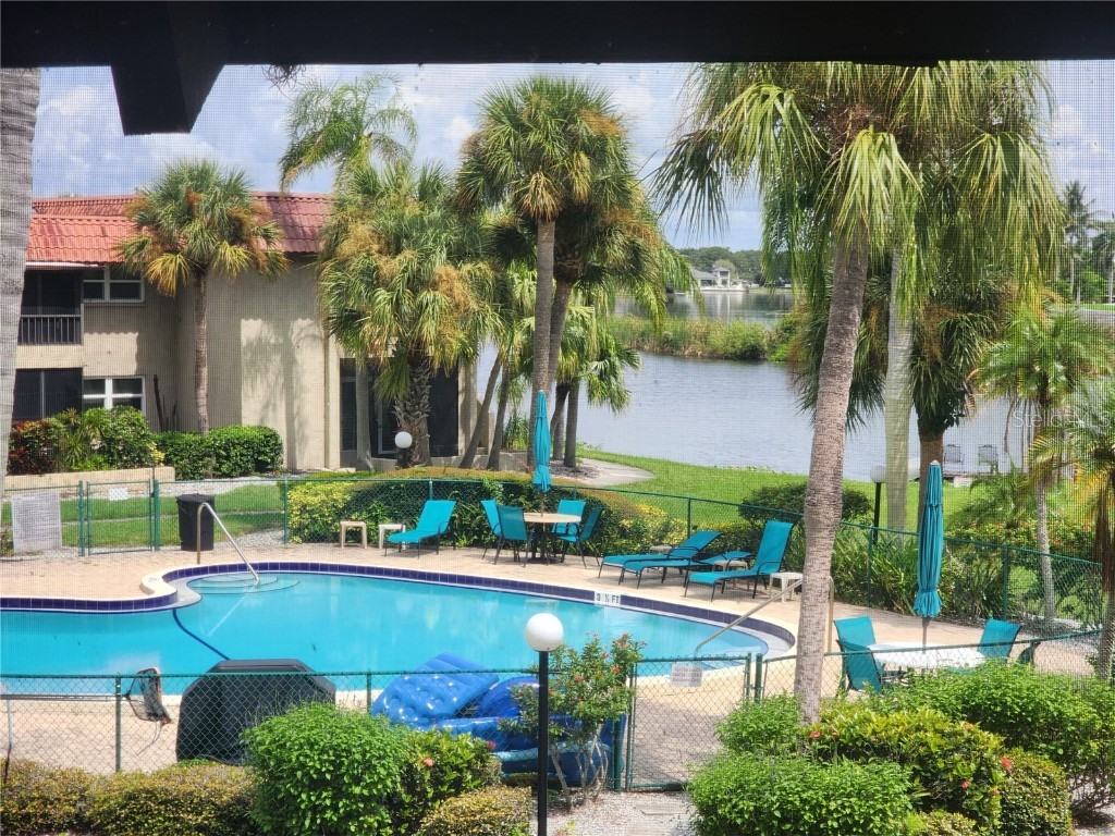 1003 S Bayshore Boulevard #206 Safety Harbor FL 34695 TB8421211 image1