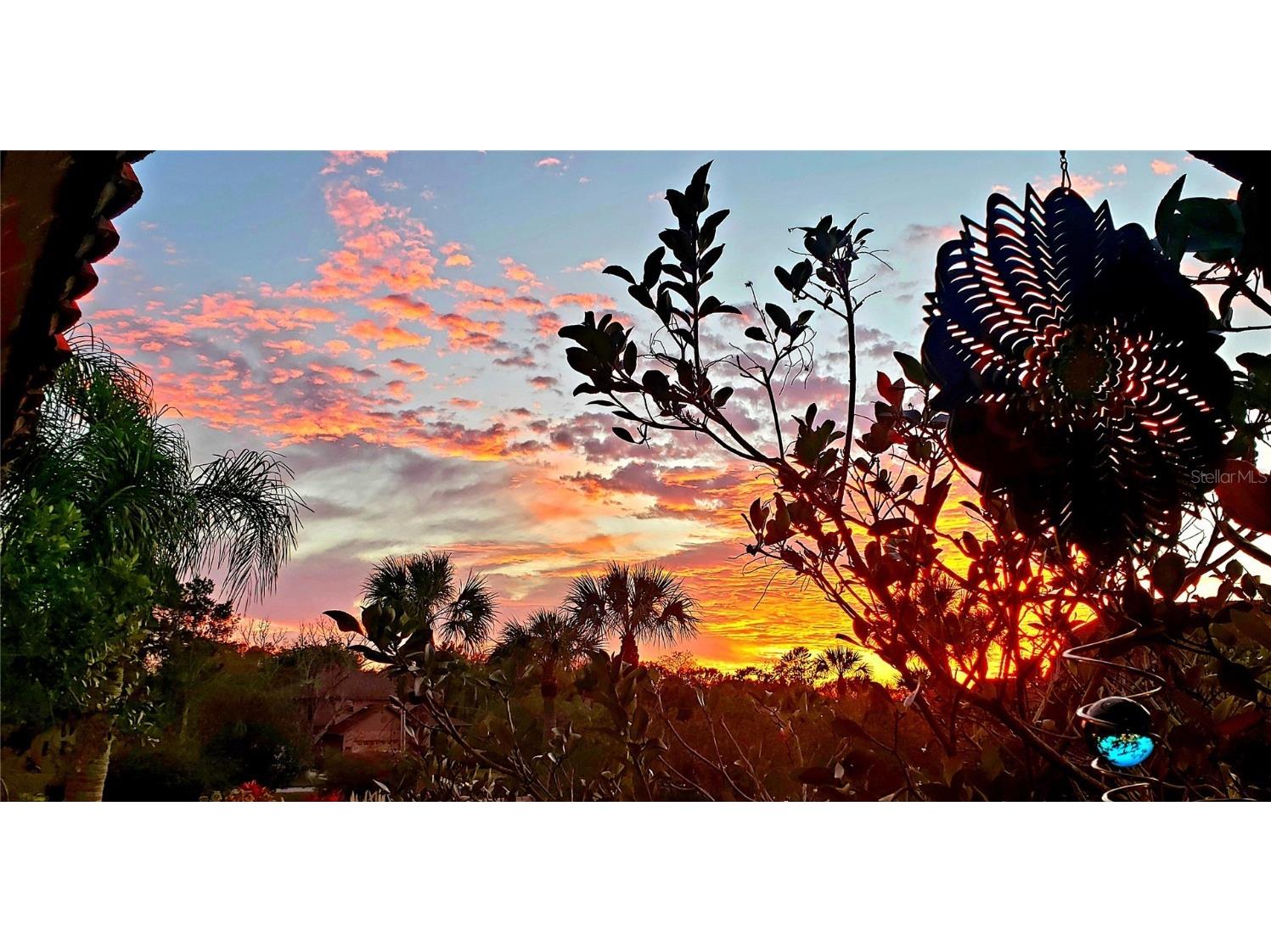 1003 S Bayshore Boulevard #207 Safety Harbor FL 34695 TB8440662 image15