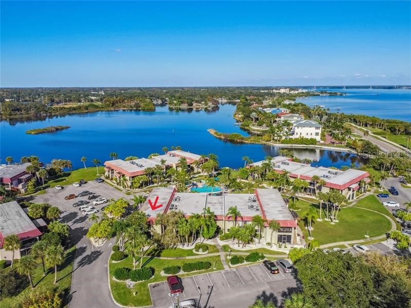 1003 S Bayshore Boulevard #207 Safety Harbor FL 34695 TB8440662 image20