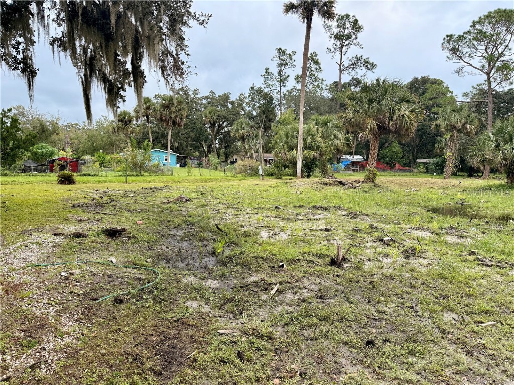 1003 Saint Catherine Avenue Christmas FL 32709 L4956530 image12