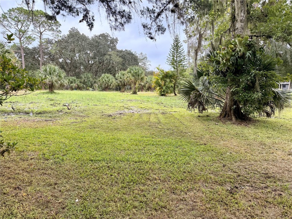 1003 Saint Catherine Avenue Christmas FL 32709 L4956530 image13